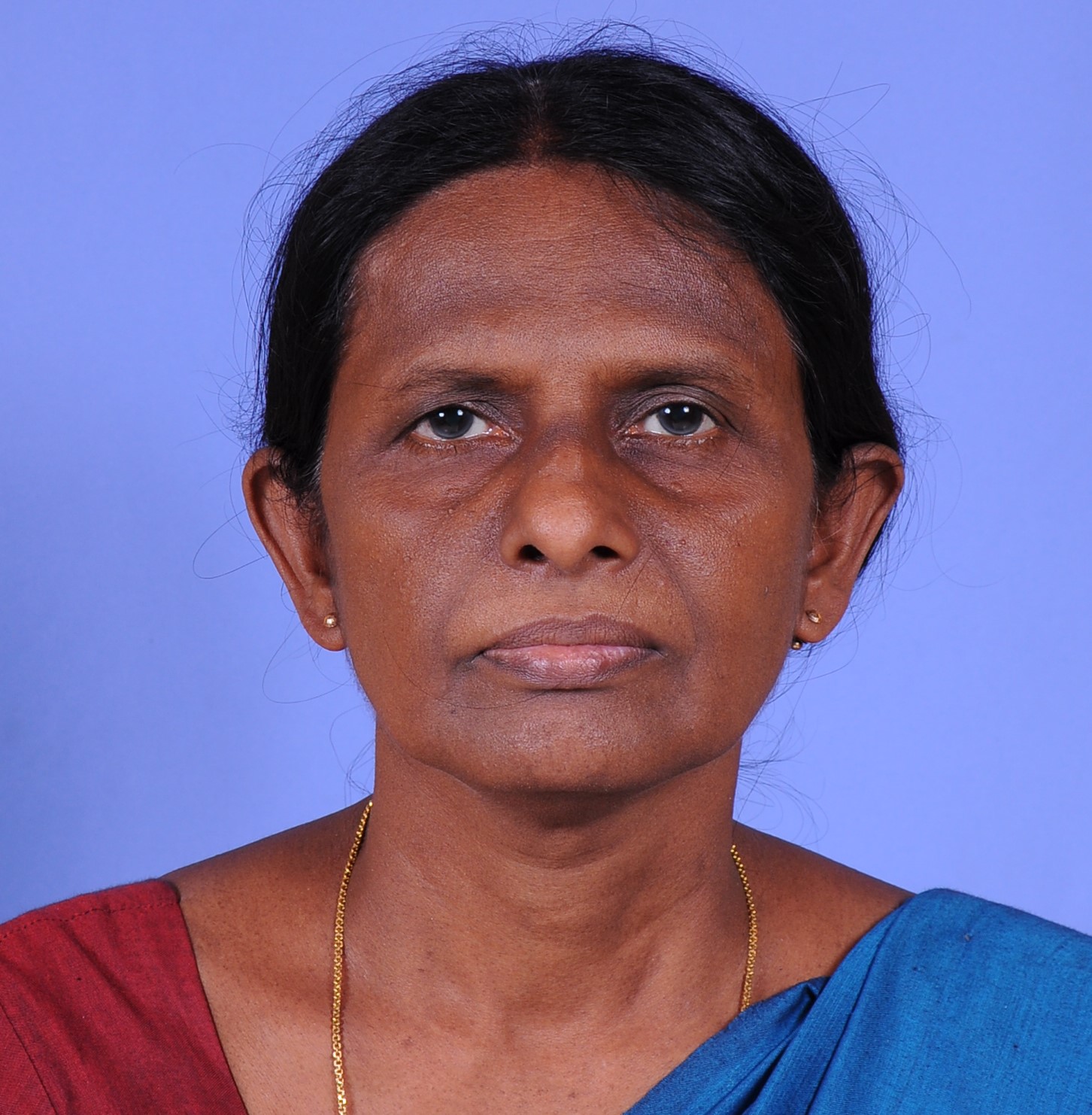 DSC 0156y
